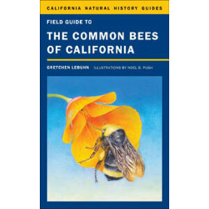 FIELD GUIDE TO THE COMMON BEES OF CALIFORNIA. INCLUDING BEES OF THE WESTERN UNITED STATES