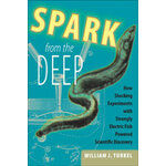 SPARK FROM THE DEEP
