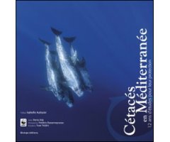 CÉTACÉS EN MÉDITERRANÉE 2