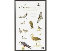 LAS AVES DE LA ESPAÑA ATLÁNTICA     