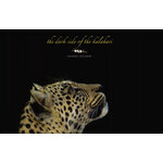 THE DARK SIDE OF THE KALAHARI
