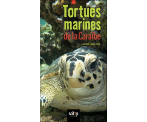 TORTUES MARINES DE LA CARAÏBE