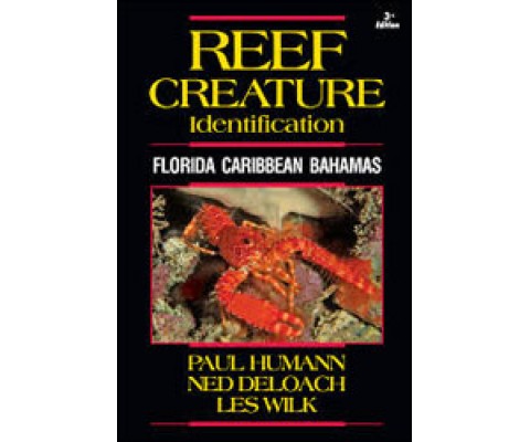 REEF CREATURE IDENTIFICATION: FLORIDA CARIBBEAN BAHAMAS