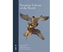PEREGRINE FALCONS OF THE WORLD