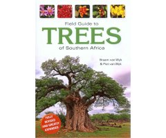 FIELD GUIDE TO TREES OF SOUTHERN AFRICA.