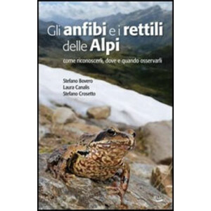 GLI ANFIBI E I RETTILI DELLE ALPI. COME RICONOSCERI, DOVE E QUANDO OSSERVARLI