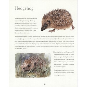 AN ILLUSTRATED COUNTRY YEAR. NATURE UNCOVERED MONTH BY MONTH_1