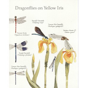 AN ILLUSTRATED COUNTRY YEAR. NATURE UNCOVERED MONTH BY MONTH 3