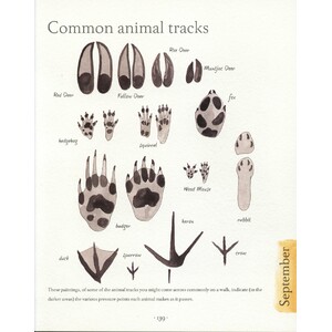 AN ILLUSTRATED COUNTRY YEAR. NATURE UNCOVERED MONTH BY MONTH 5