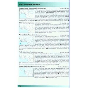 HELM FIELD GUIDES. BIRDS OF WESTERN AFRICA. 2ND ED._1