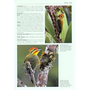 HELM PHOTOGRAPHIC GUIDES. WOODPECKERS OF THE WORLD 5