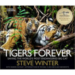 TIGERS FOREVER: SAVING THE MOST ENDANGERED BIG CAT