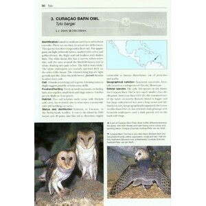 OWLS OF THE WORLD. A PHOTOGRAPHIC GUIDE_1