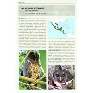 OWLS OF THE WORLD. A PHOTOGRAPHIC GUIDE 4
