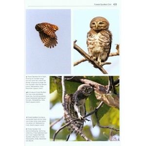 OWLS OF THE WORLD. A PHOTOGRAPHIC GUIDE 5