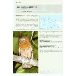 OWLS OF THE WORLD. A PHOTOGRAPHIC GUIDE 6