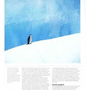 PENGUINS. THEIR WORLD, THEIR WAYS_1