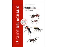 FOURMIS DE FRANCE. PLUS DE 100 ESPÈCES DÉCRITES