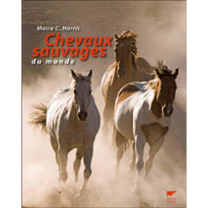 CHEVAUX SAVAGES DU MONDE