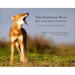 THE ETHIOPIAN WOLF: HOPE AT THE EDGE OF EXTINCTION