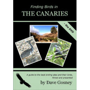 DVD FINDING BIRDS IN THE CANARIES