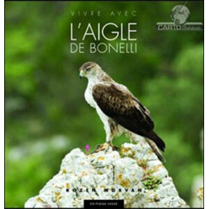 VIVRE AVEC L'AIGLE DE BONELLI