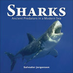 SHARKS. ANCIENT PREDATORS IN A MODERN SEA