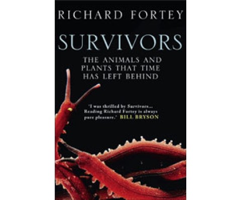 SURVIVORS. THE ANIMALS AND PLANTS THAT TIME HAS LEFT BEHIND