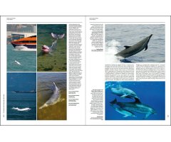 HANDBOOK OF THE MAMMALS OF THE WORLD. VOL. 4 SEA MAMMALS 2