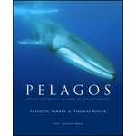 PELAGOS. VOYAGE NATURALISTE AU LARGE DE LA MÉDITERRANÉE