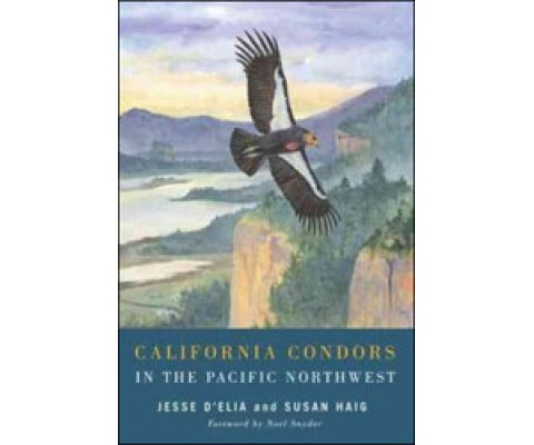 CALIFORNIA CONDORS IN THE PACIFIC NORTHWEST