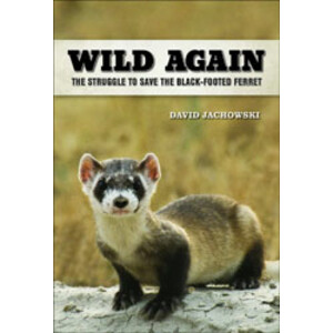 WILD AGAIN. THE STRUGGLE TO SAVE THE BLACK-FOOTED FERRET