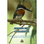 MIRANDO AVES EN NICARAGUA