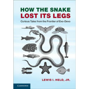 HOW THE SNAKE LOST ITS LEGS