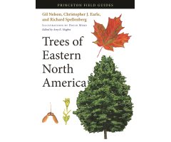 TREES OF EASTERN NORTH AMERICA