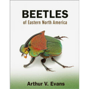 BEETLES OF EASTERN NORTH AMERICA