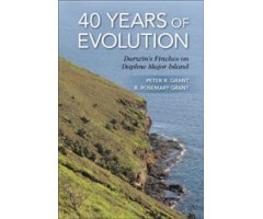 40 YEARS OF EVOLUTION     