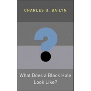 WHAT DOES A BLACK HOLE LOOK LIKE?
