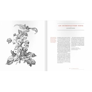 THE NEW SYLVA. A DISCOURSE OF FOREST AND ORCHARD TREES FOR THE TWENTY-FIRST CENTURY_1