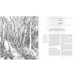 THE NEW SYLVA. A DISCOURSE OF FOREST AND ORCHARD TREES FOR THE TWENTY-FIRST CENTURY 3