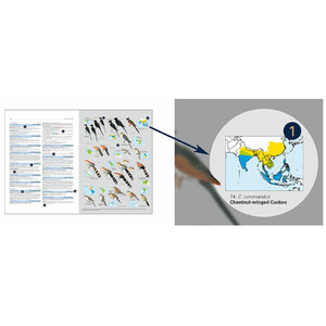 HBW AND BIRDLIFE INTERNATIONAL ILLUSTRATED CHECKLIST OF THE BIRDS OF THE WORLD. VOL 1_1