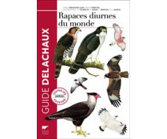 GUIDE DELACHAUX RAPACES DIURNES DU MONDE                                                                                                              