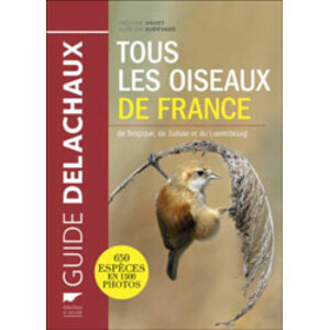 GUIDE DELACHAUX. TOUS LES OISEAUX DE FRANCE