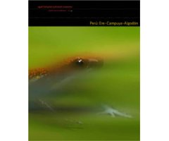 PERÚ: ERE-CAMPUYA-ALGODÓN 2