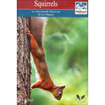SQUIRRELS. THE MAMMAL SOCIETY