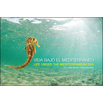 VIDA BAJO EL MEDITERRÁNEO. LIFE UNDER THE MEDITERRANEAN SEA