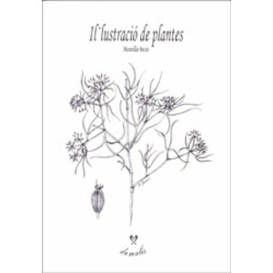 IL·LUSTRACIÓ DE PLANTES