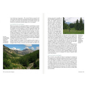 100 ANIMAUX DES MONTAGNES 3