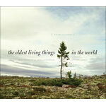 THE OLDEST LIVING THINGS IN THE WORLD