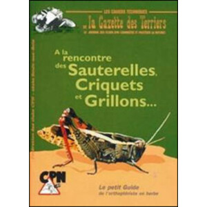 À LA RENCONTRE DES SAUTERELLES, CRIQUETS ET GRILLONS...